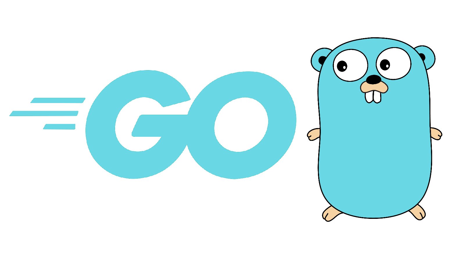Go Golang Crash Course Scott Reese Skillshare