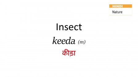 Learn Complete Hindi Bestseller Language Course Shachi Chotia Skillshare