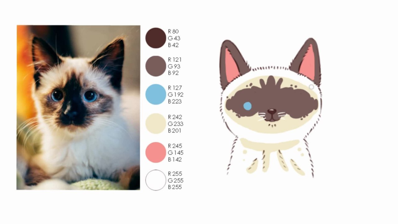 Como desenhar o retrato de um gato em estilo desenho animado | Ecky O |  Skillshare, image size:1280x720