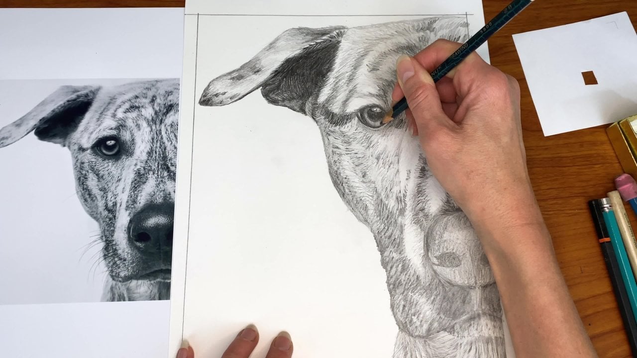 Graphite Pencil Drawing for the Advanced Beginner | Diane Flick