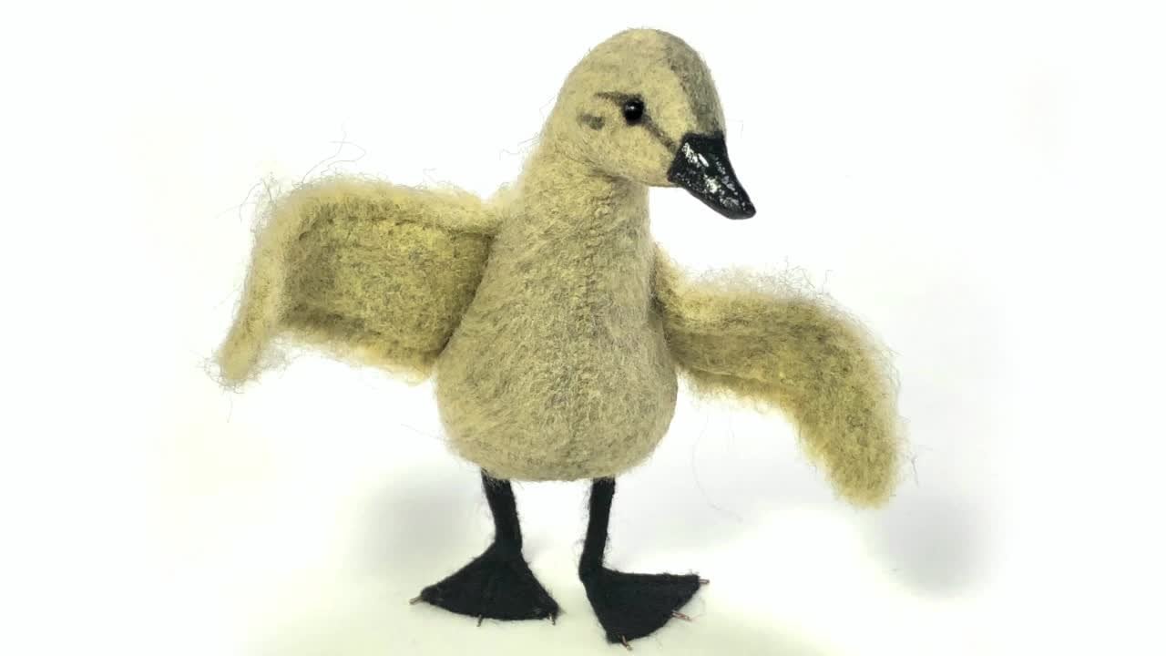 Duck & Ducklings Needle Felting Craft Kit