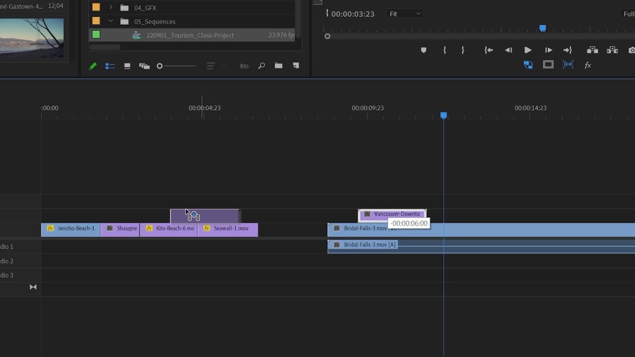 Edición de video para principiantes: tu guía de Adobe Premiere Pro | Sean  Dykink | Skillshare