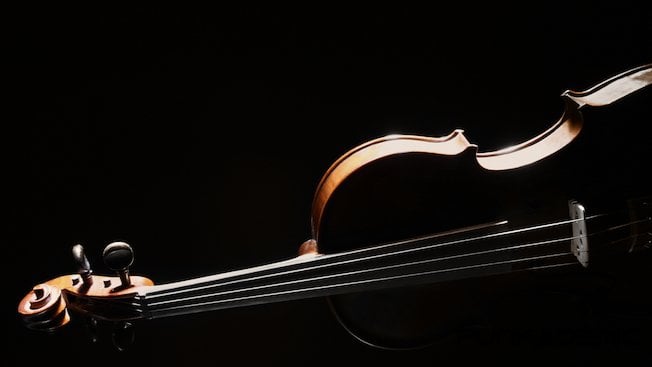 Le Violoncelle - Instrument Magique et Polyvalent – t.blog