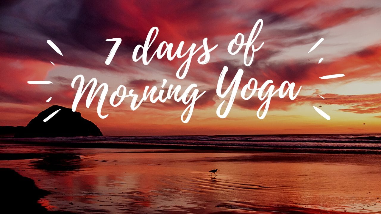 7 Days of Morning Yoga, Erdem Gulova