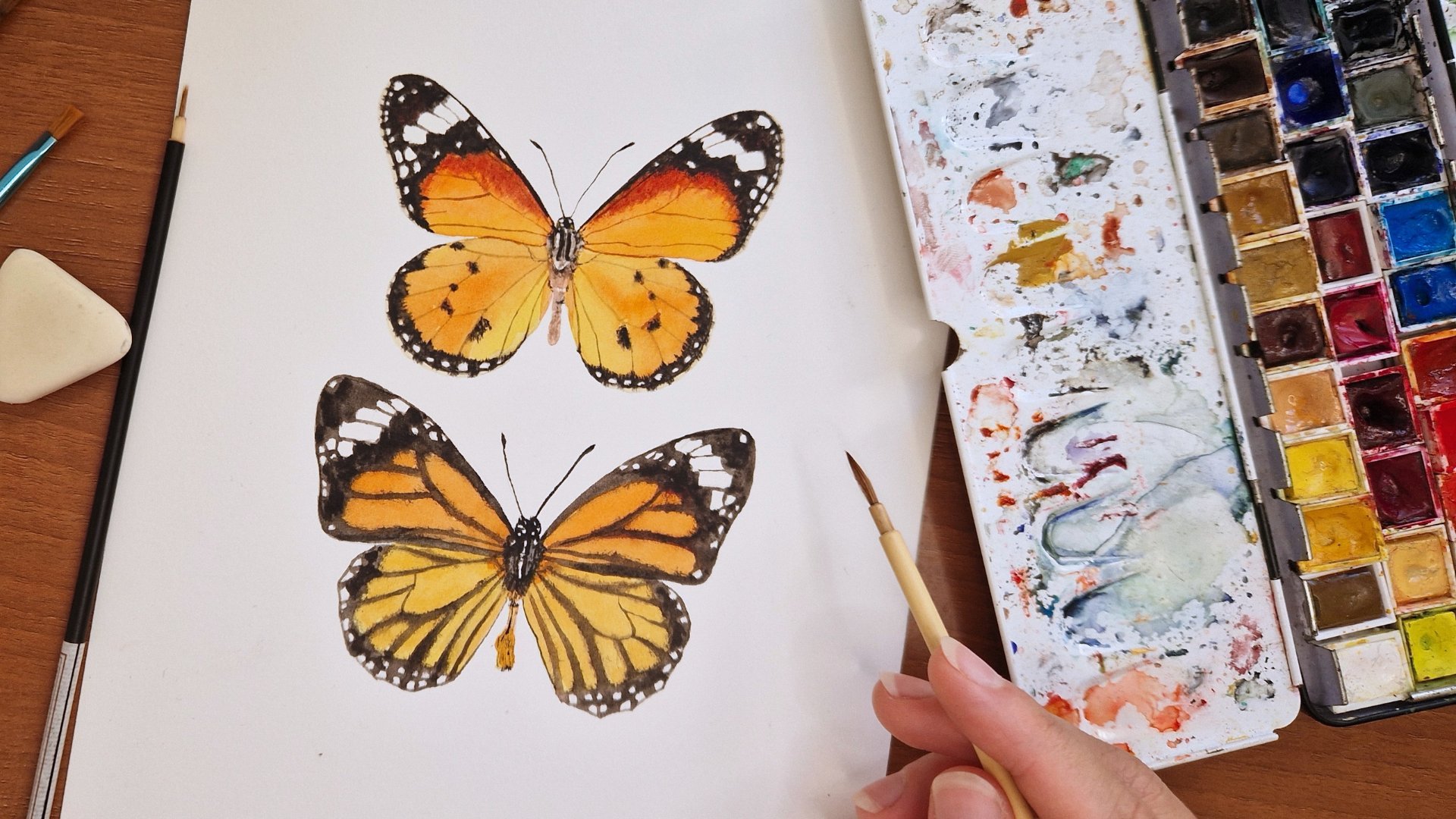 Paint realistic Bugs and Butterflies in Watercolour: Keys to ...