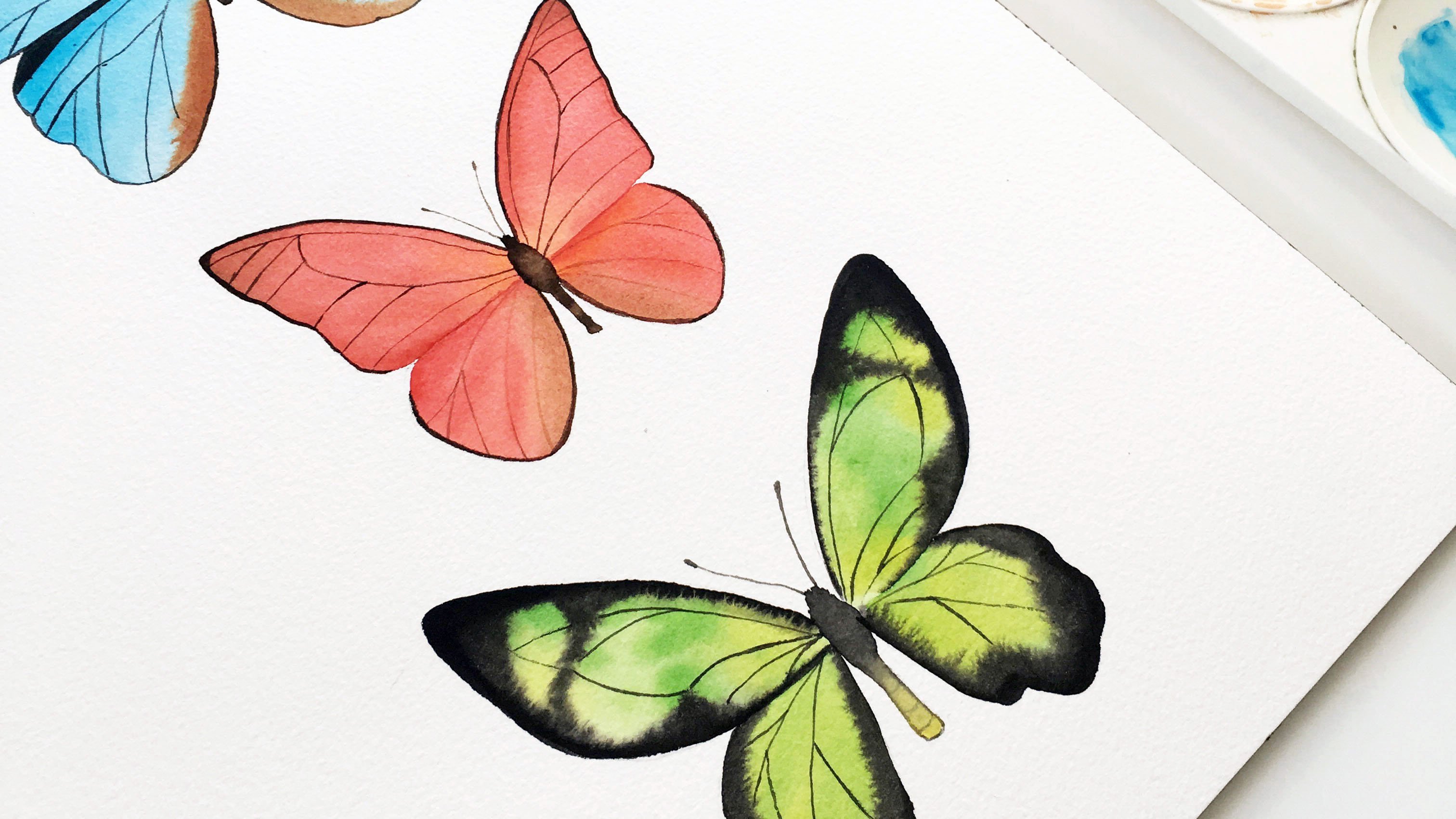 Watercolor Paper Plate Butterflies