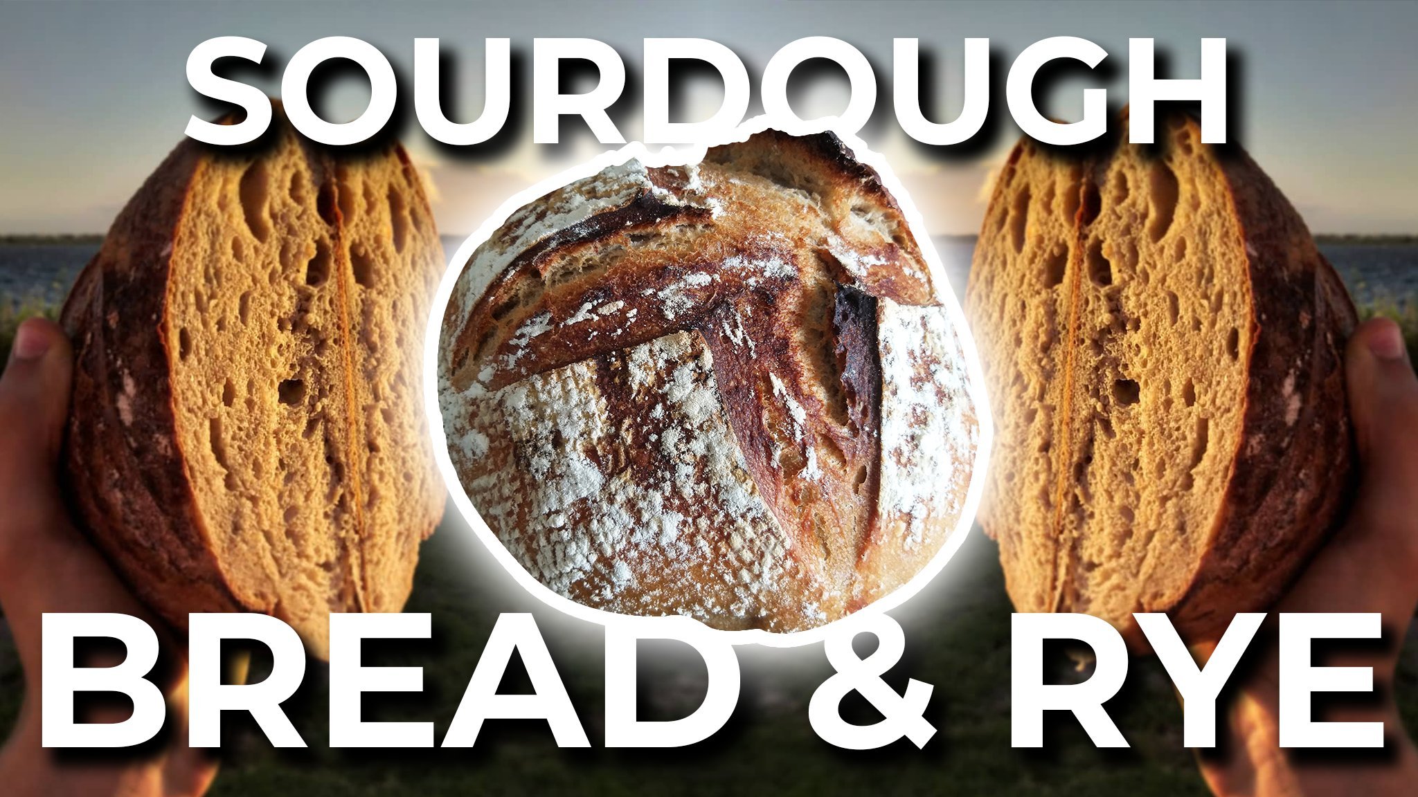 Video Transcript: Sourdough Tools of the Trade