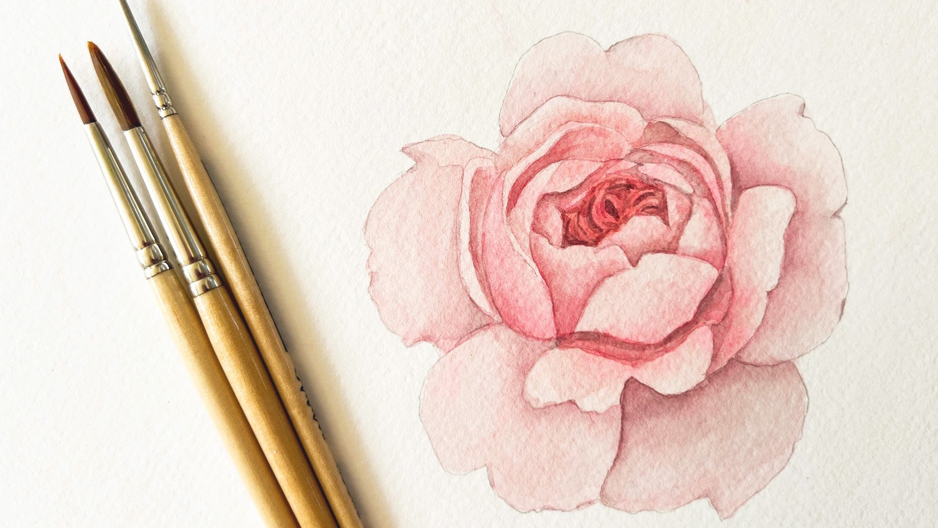 Watercolor Painting: Paint a Realistic Garden Rose | Nikki Hess ...