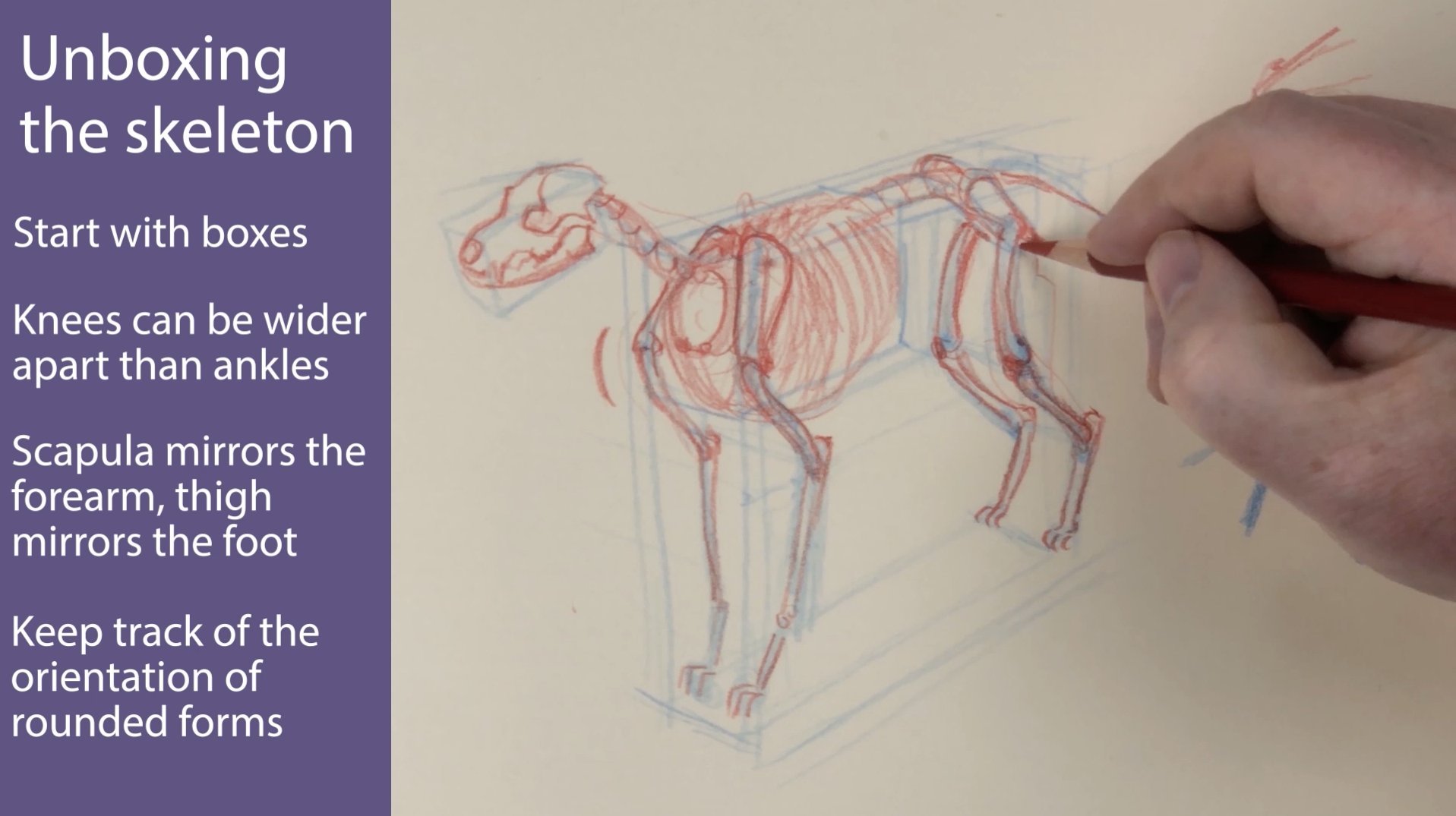 Downloaden Animewolf Mit Flügeln Unter Dem Mond Wallpaper | Wallpapers.com, image size:1917x1075