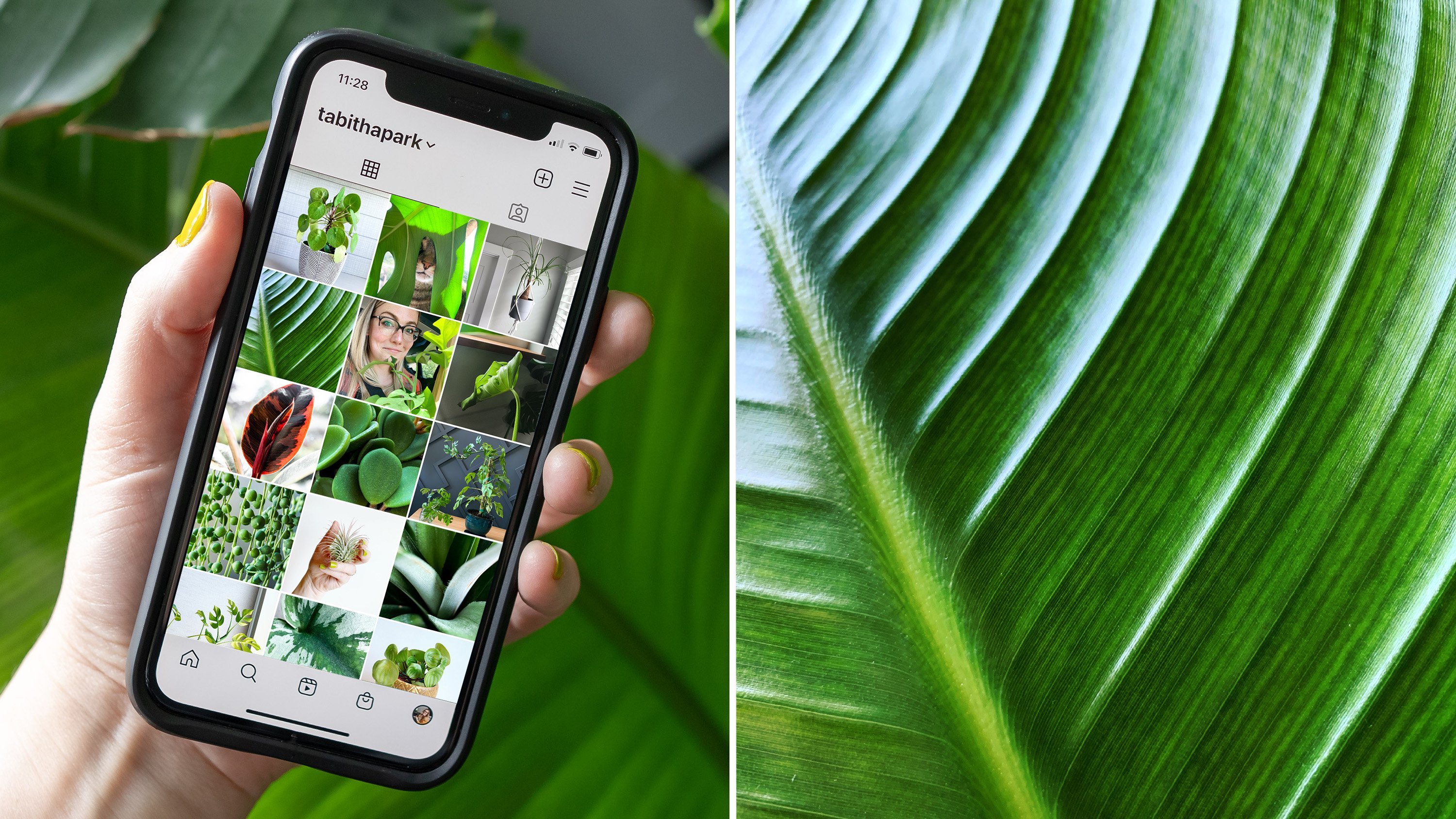 plant-photography-take-better-photos-at-home-for-instagram-tabitha