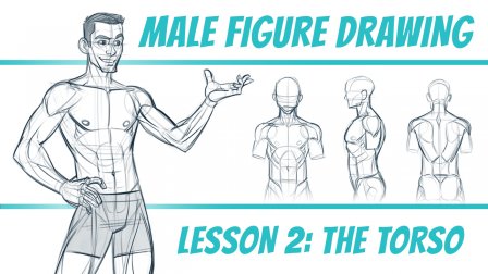 Figure Drawing Basics The Male Figure Kyle Petchock Skillshare