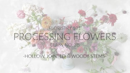 Project Class