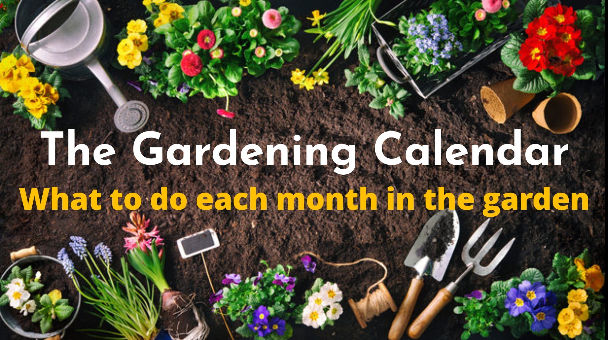 The Gardening Calendar - What to do each month in the garden, Mark Shorter