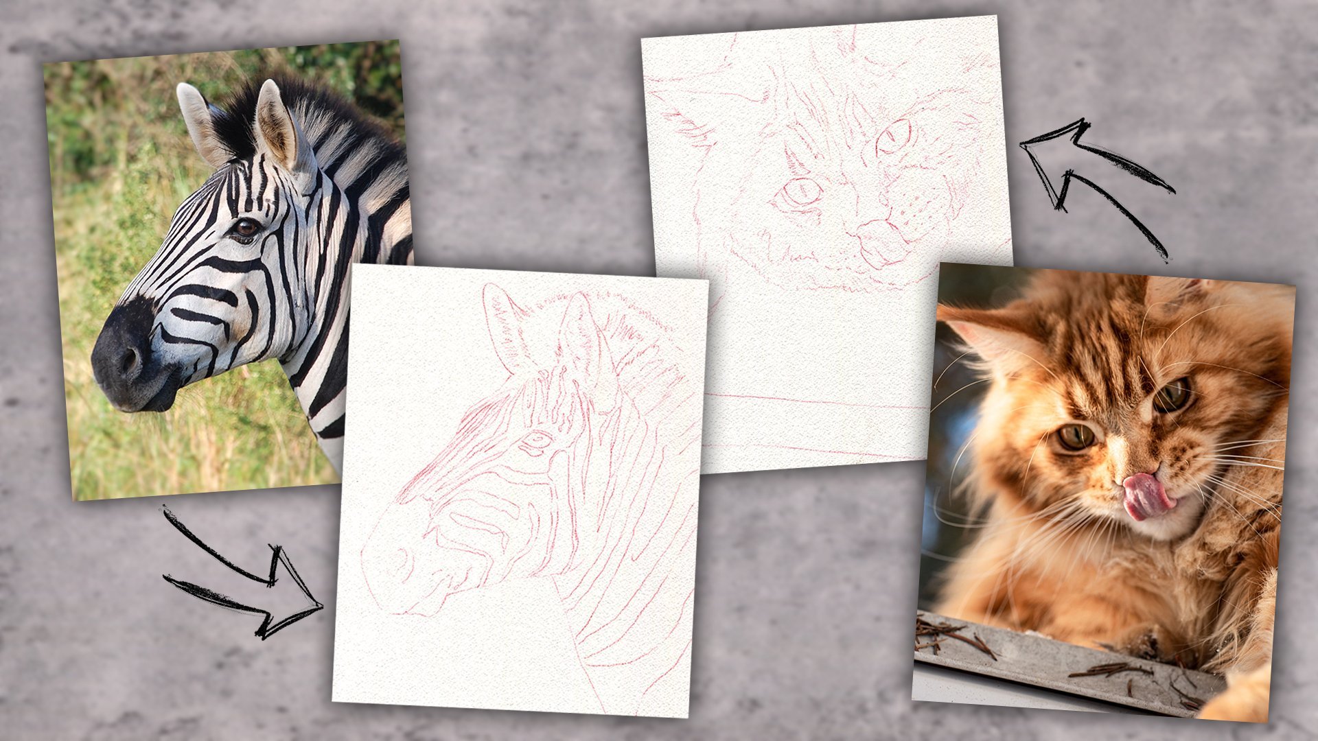 Pencil Art, desenhos incríveis de animais feitos a lápis