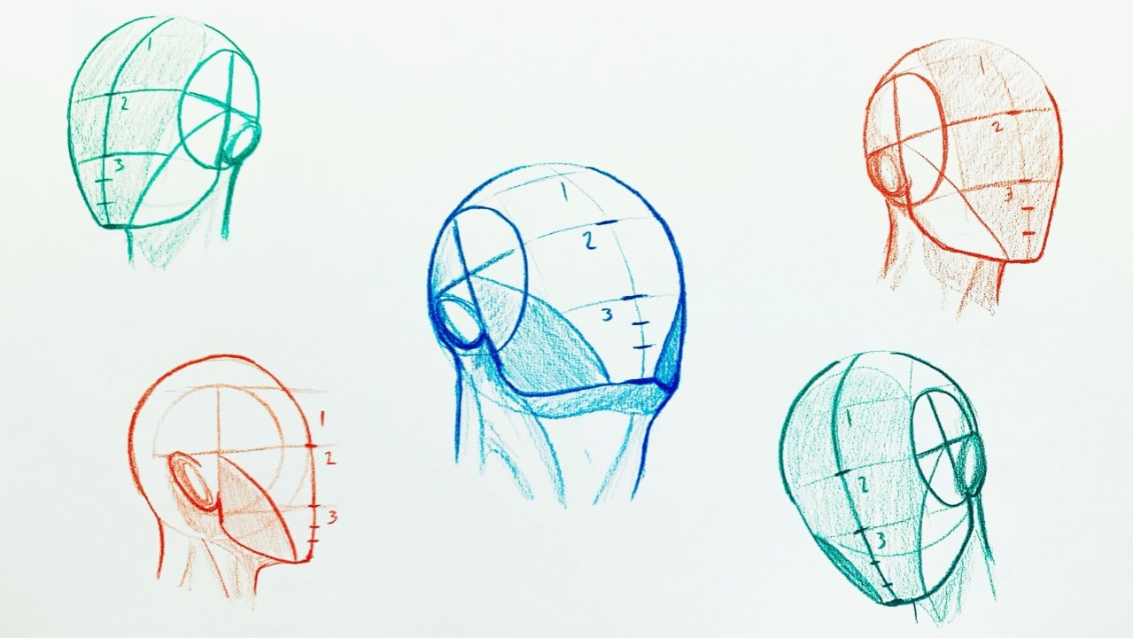 How to Draw a Face from the FRONT (Loomis Method)