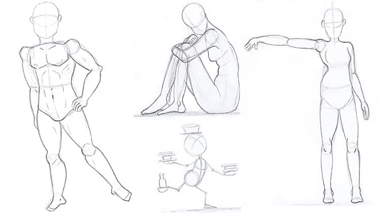 Human Body Anatomy Drawing : Figure Drawing with Simple Styles, Amelie  Braun