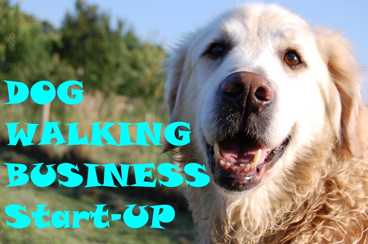 Dog Walking Business Startup Be Your Own Boss in the Company of