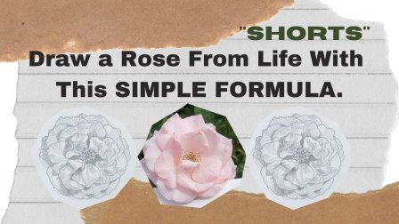 Draw a Rose From Life With This Simple Formula | SHORTS