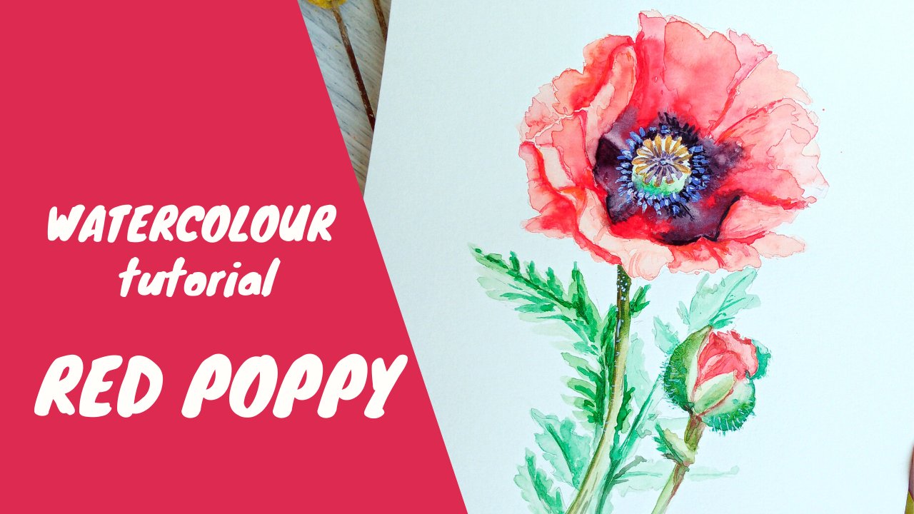 How to Paint a Poppy with watercolor crayons tutorial 