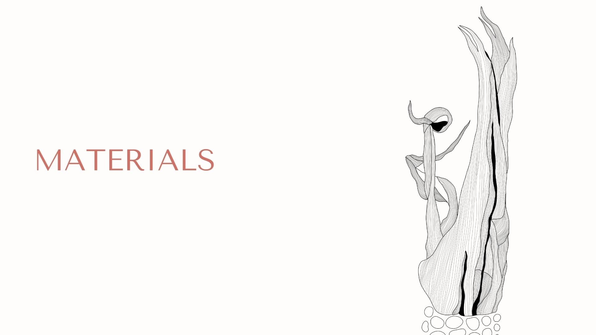 Prática de desenho de alimentos: abordagem criativa para uma alimentação  consciente | Liz Brindley | Skillshare, image size:1920x1080