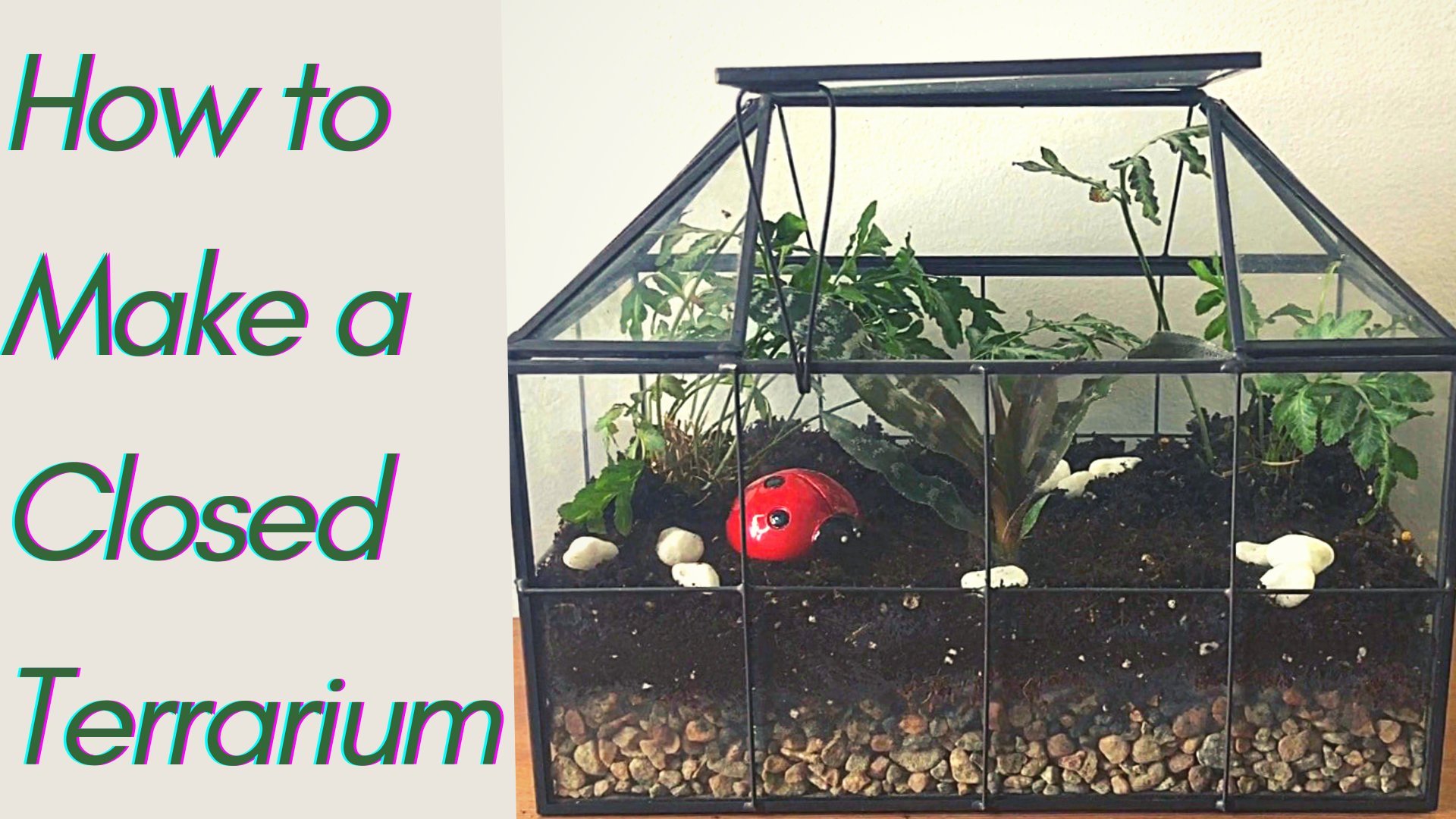 How to Make a Closed Terrarium, Samantha Locking