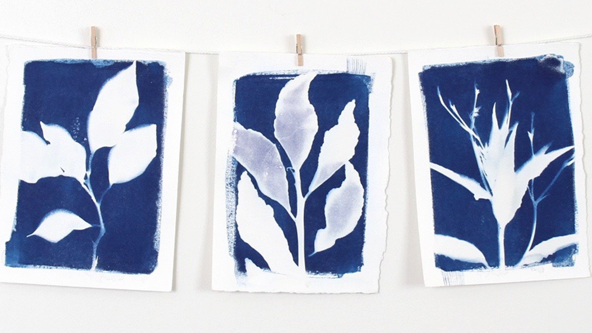 Intro to Cyanotype printing - Exeter Phoenix