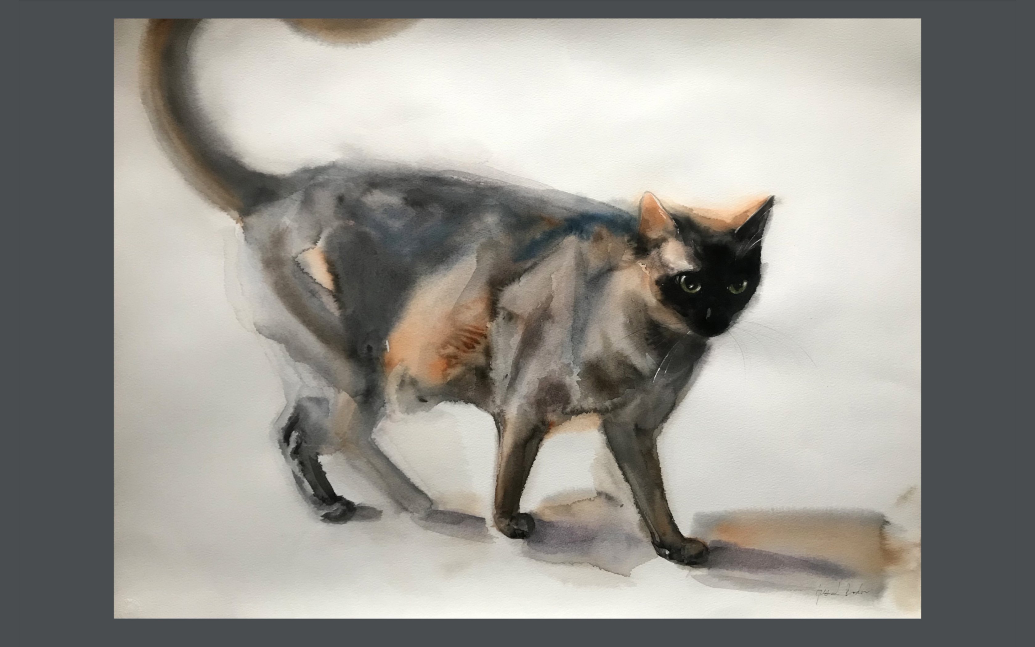 visual-arts-tutorials-black-cat-watercolor-lesson-intermediate