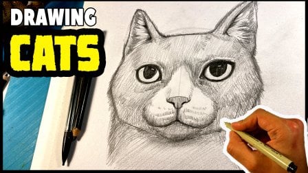 Animal Drawing: Quickly Sketch Animals - Easy Drawing for Beginners -  Realistic Art Drawing Skills, Andy Villon