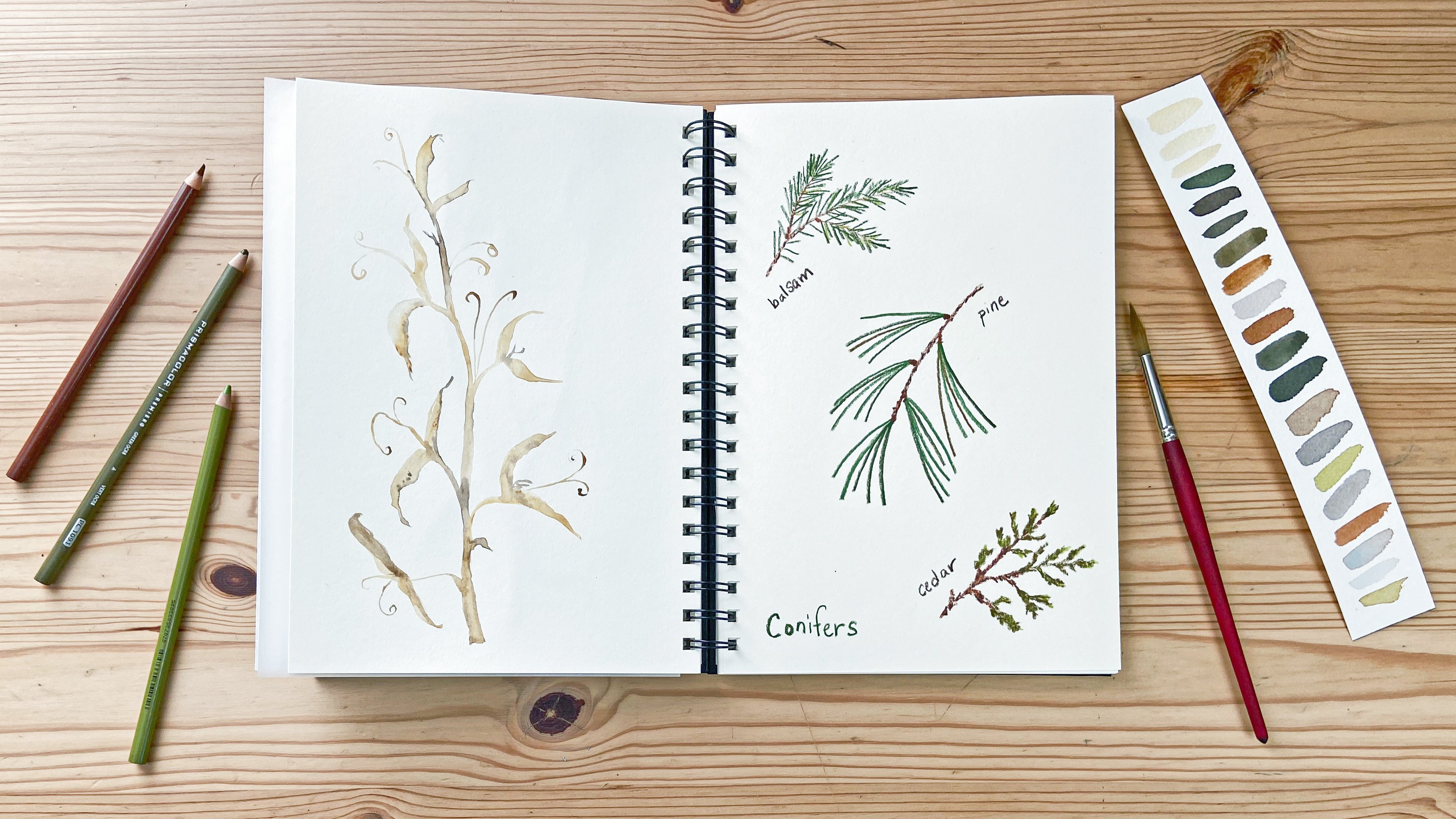 Crayon Vert Sur Papier Pointillé Pour Faire Du Bullet Journal