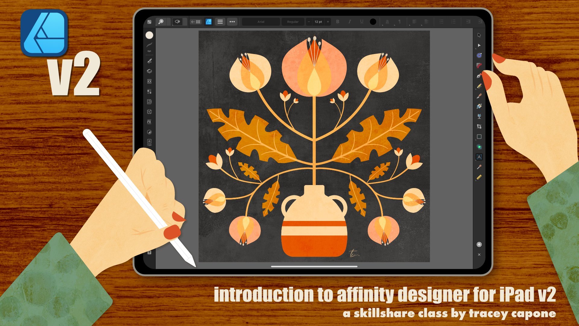 Introduction to Affinity Designer for iPad Version 2 | Tracey