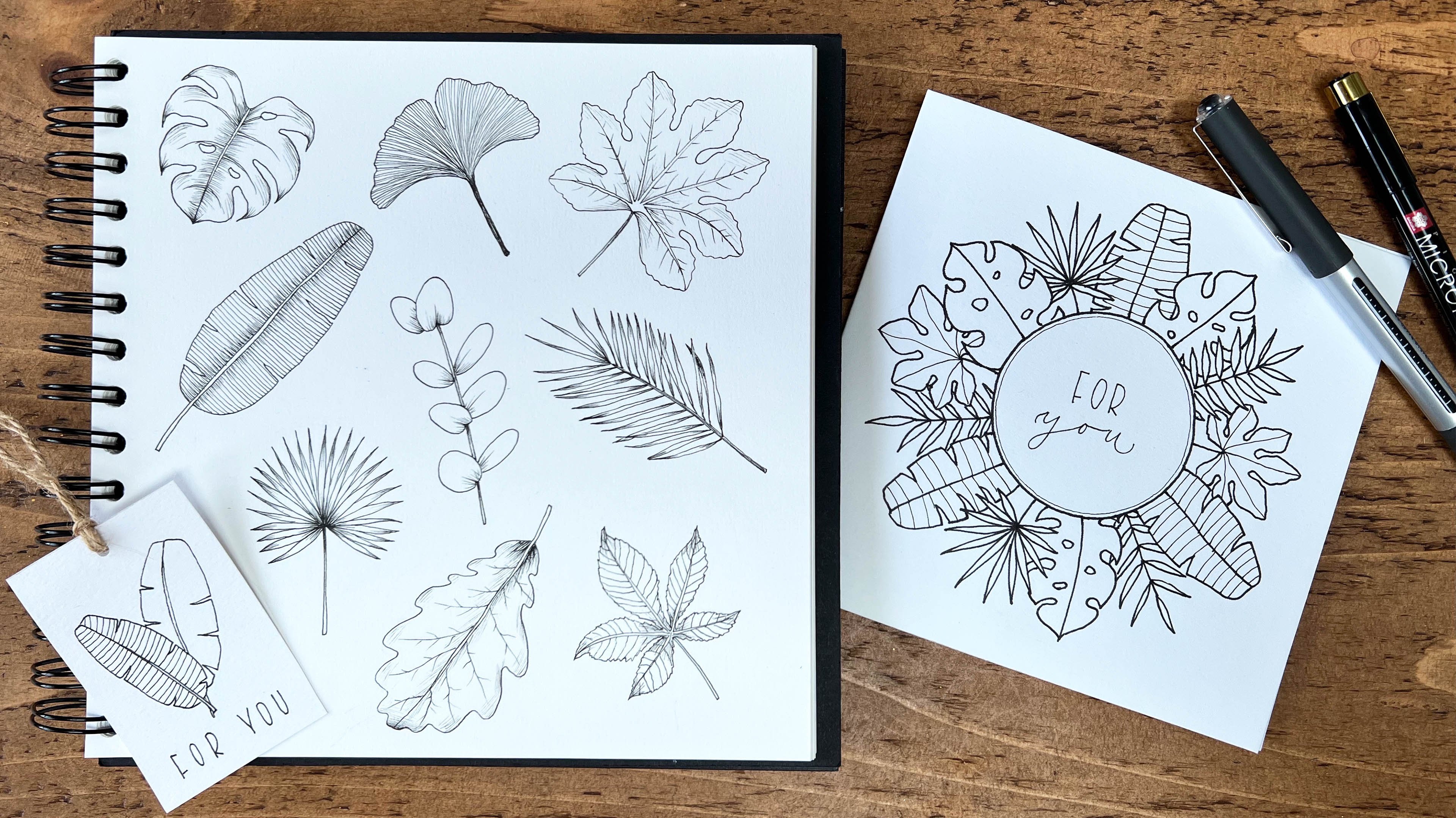 Botanical Drawing for Beginners: How to Draw Simple Tropical Leaves, Sharone Stevens