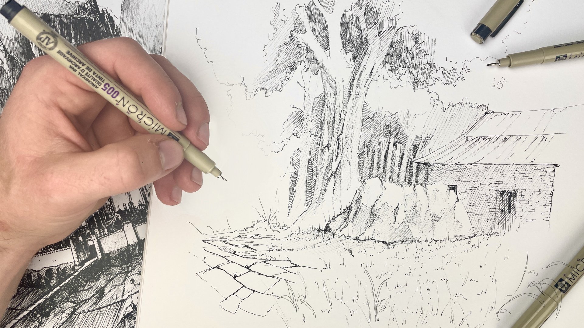 How to Draw Realistic Trees with Ink Pens: Observation, Shading, and Shape, Sam Gillett