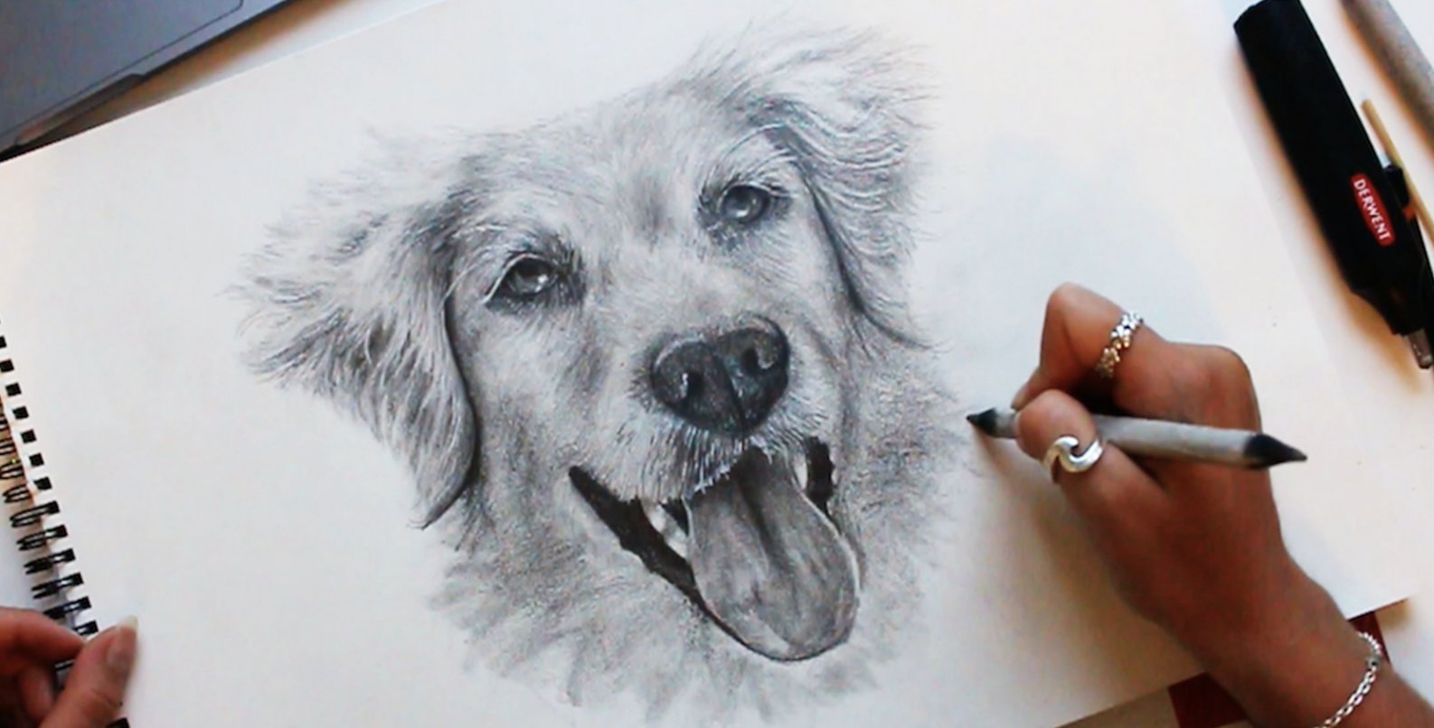 How to Draw Realistic Pet Portraits: Dogs | Clarice Greening | Skillshare