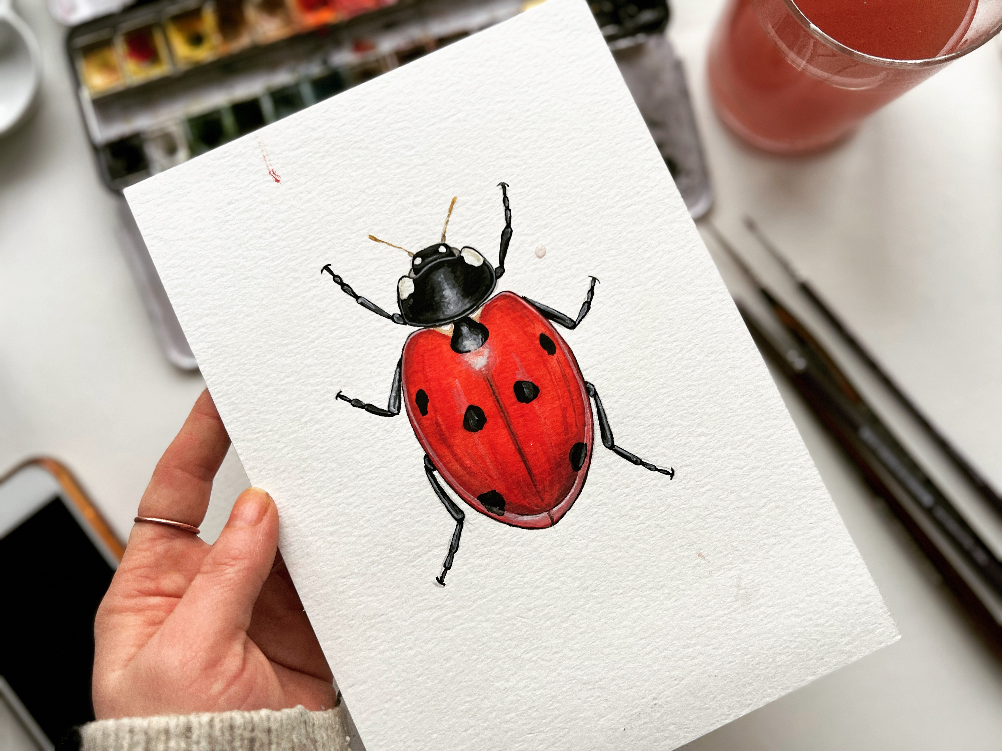 Painting Realistic Ladybirds / Ladybugs in Watercolour and Gouache - a  detailed step by step guide, Tansy Moore