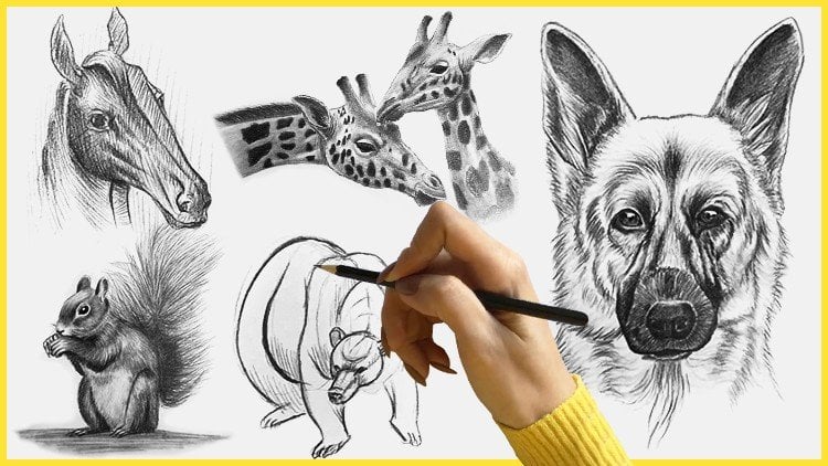 Las mejores 10 ideas de Cosas interesantes para dibujar  bocetos de  animales, dibujo de animales, bosquejos de animales