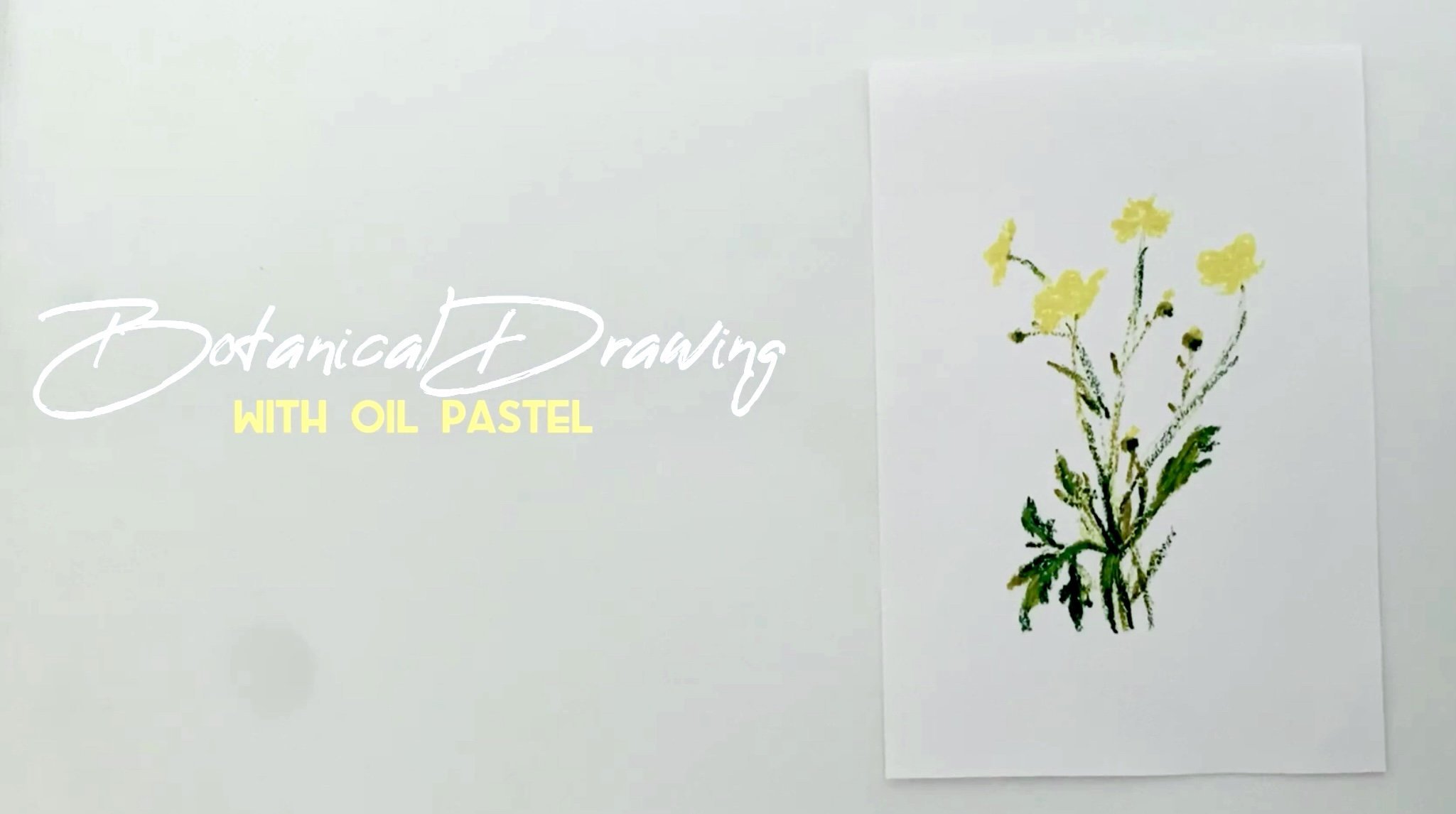 Dibujo botánico con pastel de aceite: buttercups | Alina Harvi | Skillshare