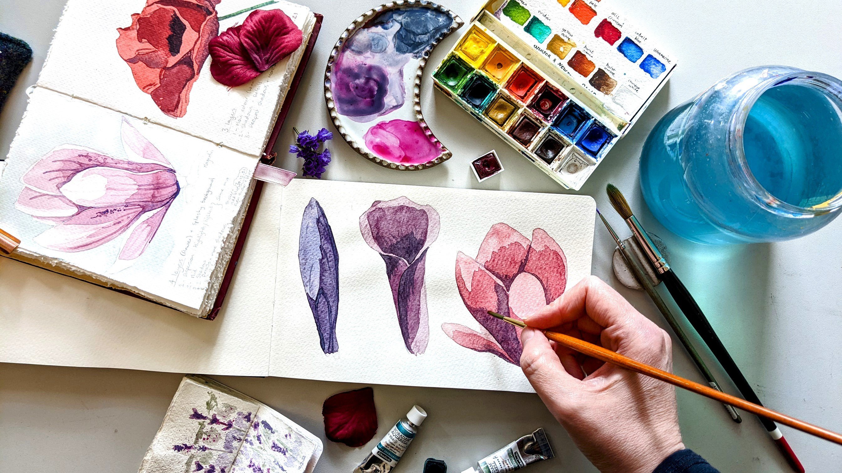 Watercolor Supplies Beginners Guide (This is What you Truly Need)