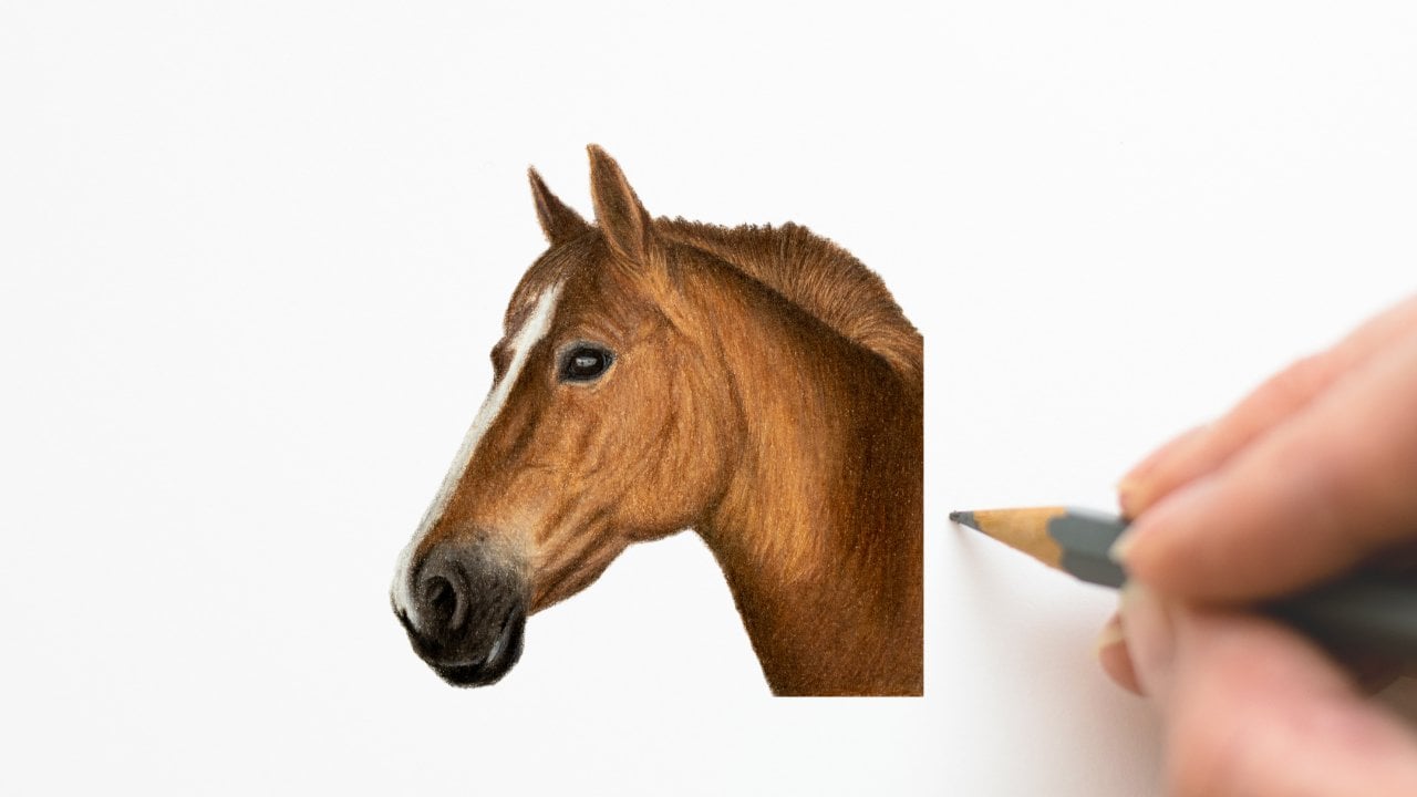 Como desenhar um cavalo com lápis de cor