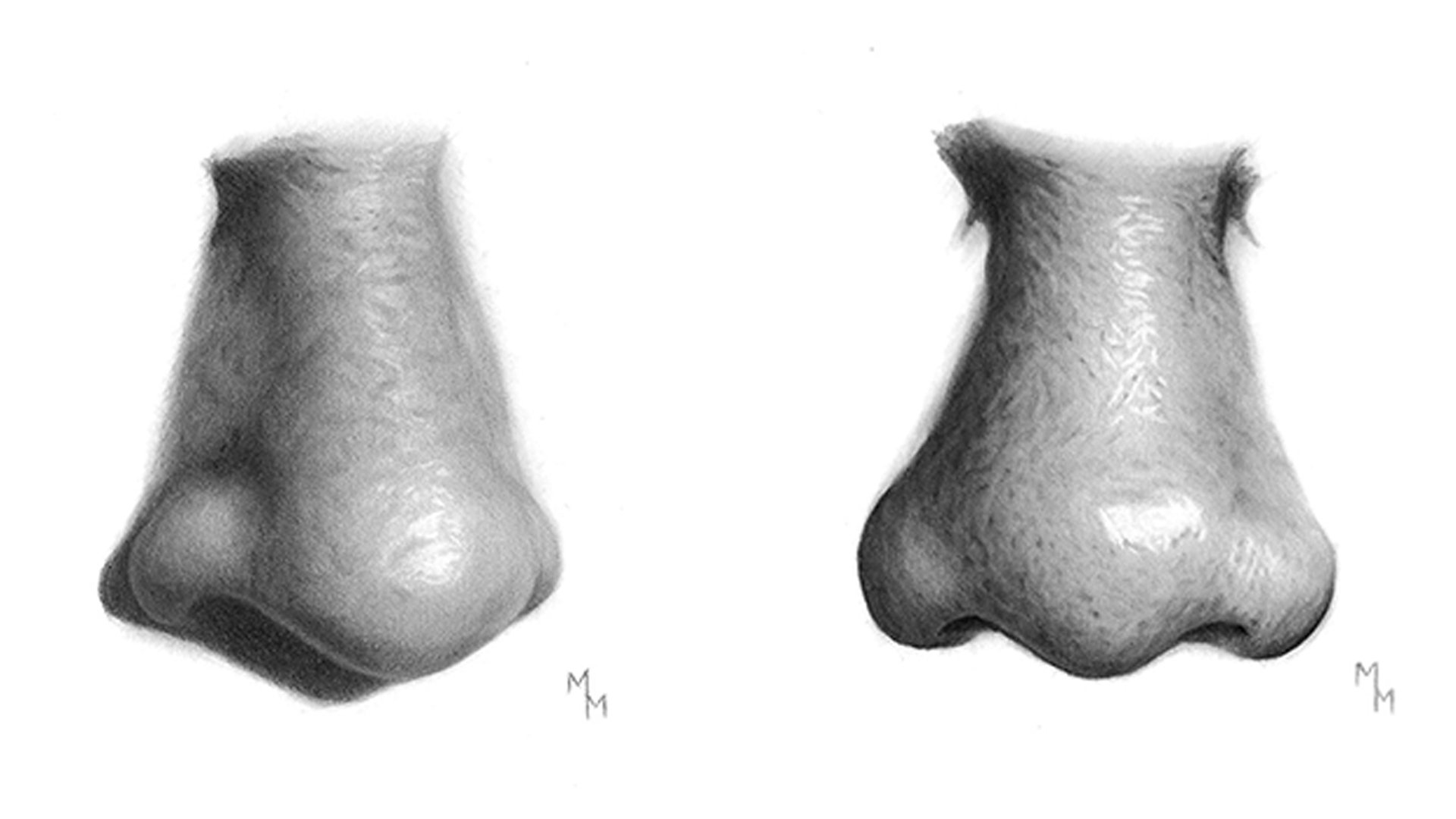 Drawing a Realistic Nose with Graphite, Matheus Macedo