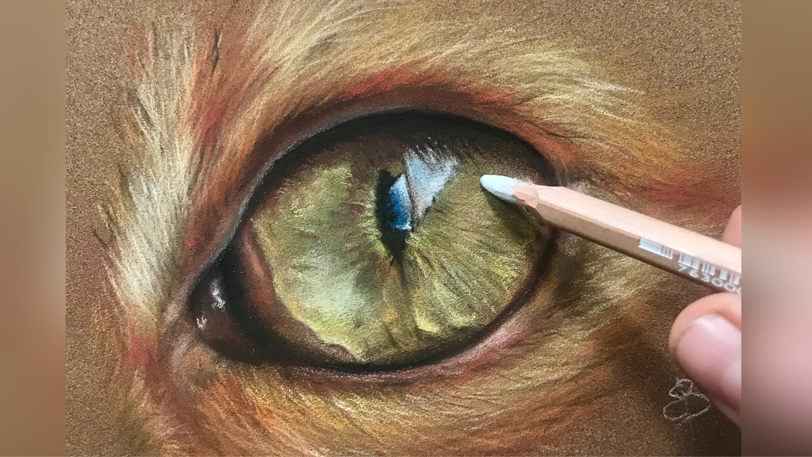 Realistic Animal Eye with Pastel Pencils | Ekaterina B | Skillshare