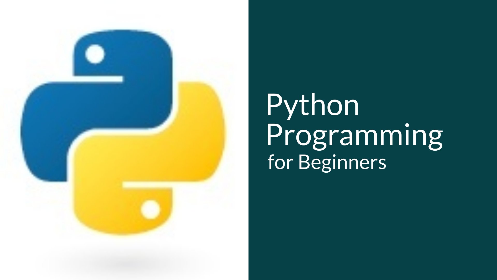 python-programming-for-beginners-2021-edition-axel-mammitzsch-skillshare