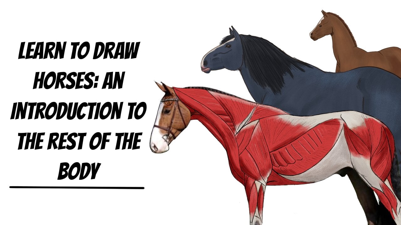 Como Desenhar Animais: Cavalos, Anatomia e Poses