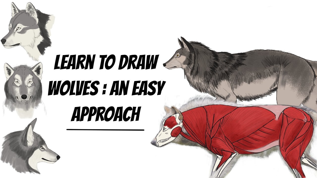 realistic drawings of wolves growling