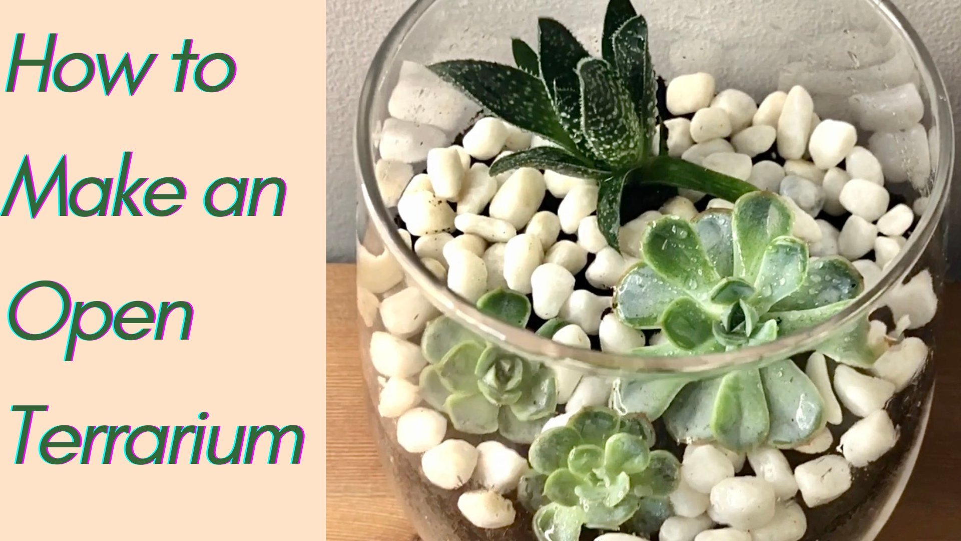 How to Make an Open Terrarium, Samantha Locking