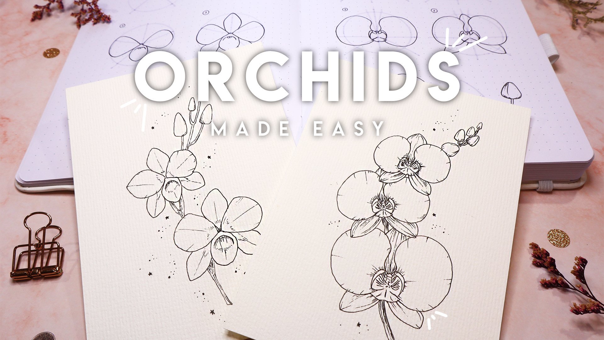 orchid drawing