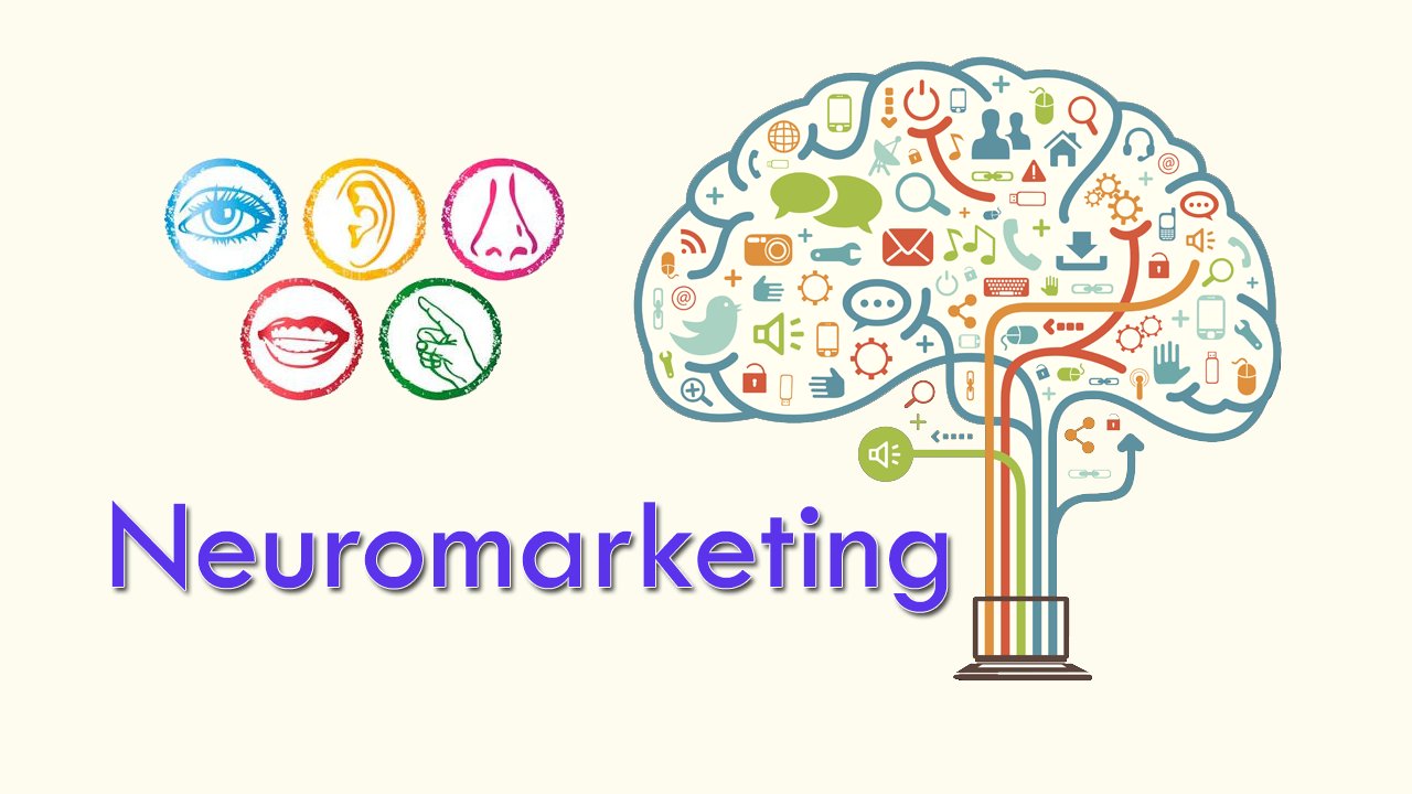 Neuromarketing 8 Examples To Use It Wisely Daniela Andrea Guasti