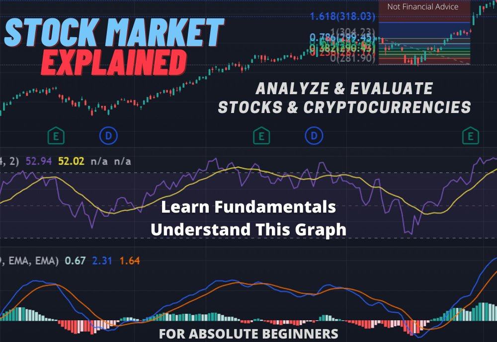 Complete Stock Market Introduction (Absolute Beginners) How To Evaluate Stocks & Crypto