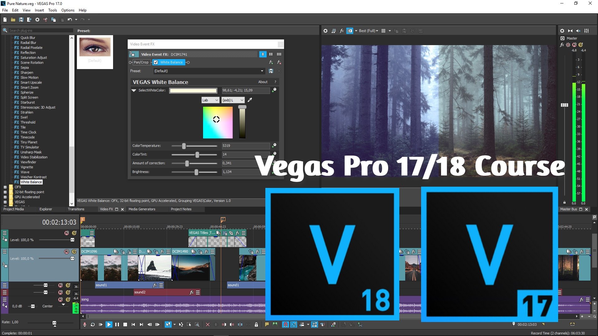 sony vegas.