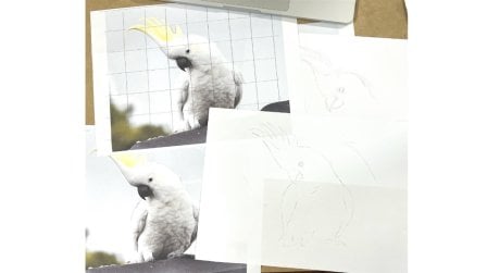 Projekt-Kurs