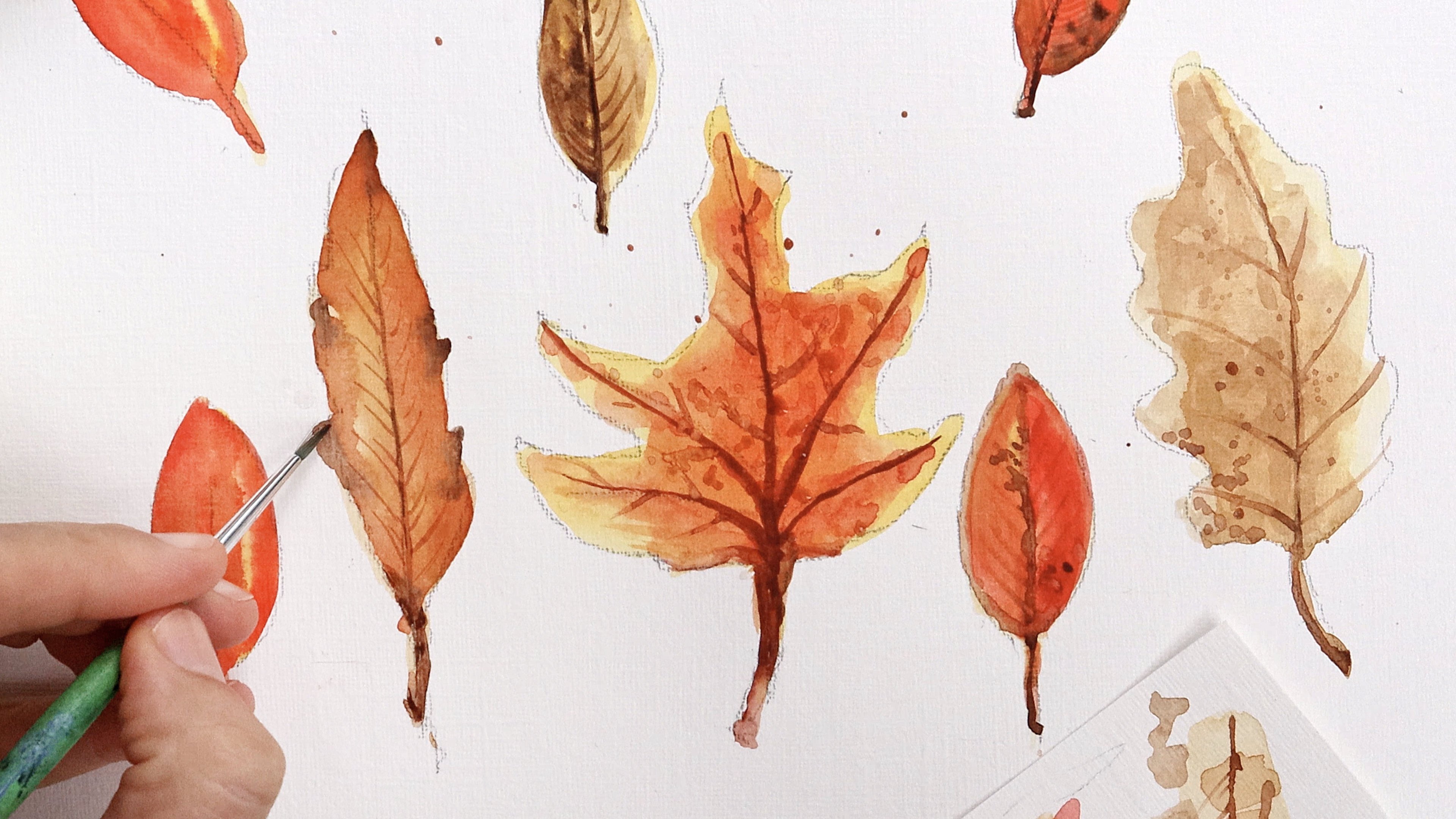 autumn leaves falling drawing